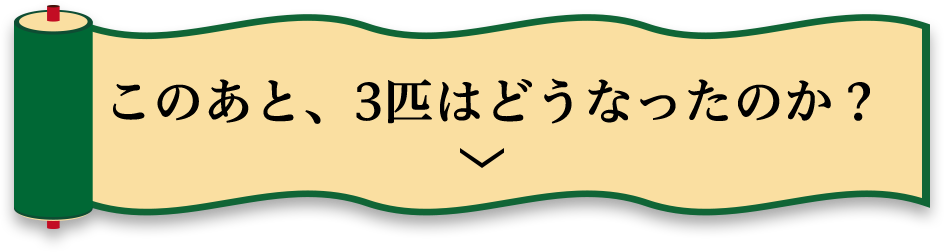 このあと、3匹はどうなったのか？